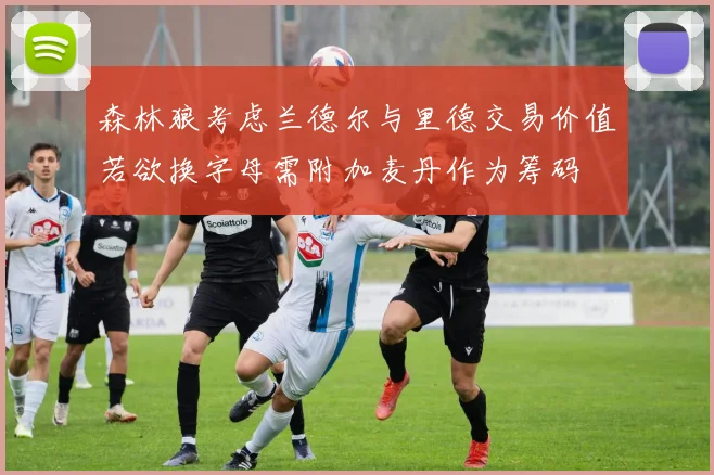 森林狼考虑兰德尔与里德交易价值若欲换字母需附加麦丹作为筹码